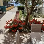 Apartment Lanterna Puntamika Apt. Near Zadar